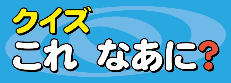 クイズこれなあに？～ひらがな・カタカナを読み始めた人のための「読み」確認アプリ